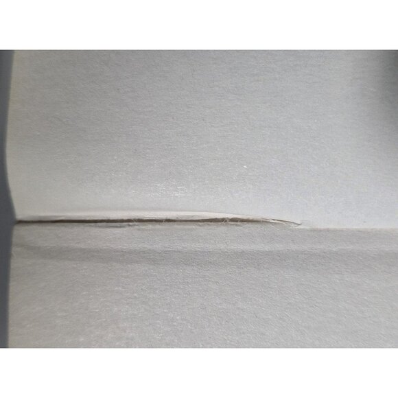 L'Appât Daniel Cole Thriller Policier Suspense French Softcover 2018 Ragdoll - Picture 11 of 13